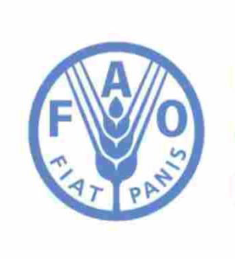 Photo of FAO